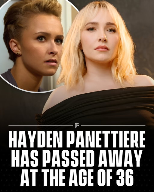Hayden Panettiere has passed away at the age of 36, her representative confirmed to ABC News. The actress leaves behind a legacy of memorable performances and a career that touched millions of fans around the world.

Rest in peace, Hayden Panettiere. 🕊️❤️

#Pubity #News #Viral