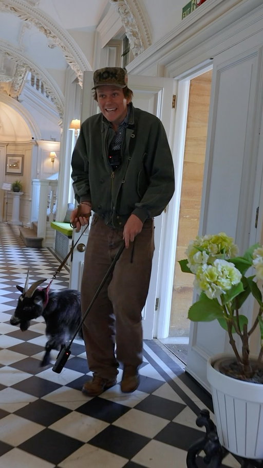 I tested pet friendly hotels with a goat
