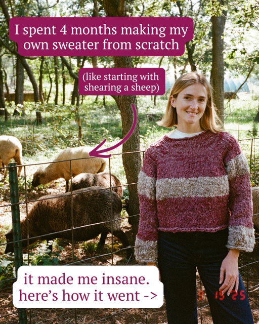 my full sheep to sweater project! huge thanks to @queensfarm & @loopoftheloom !!!

I used the 'glow raglan' pattern from @violentcatlady 

full vid is up now on my yt channel🐑🐑🐑🐑