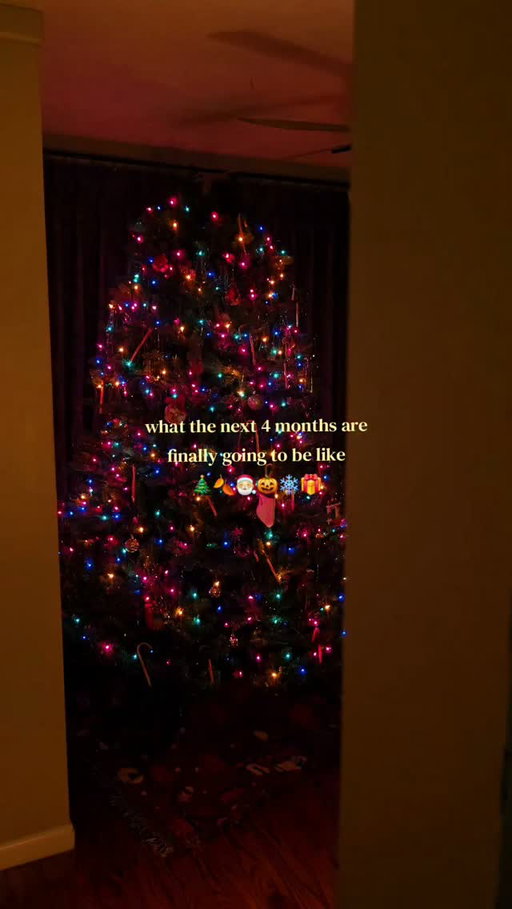I am so excited 😭🎄🎅❄️🎃🌙
all idea credit to @xgeorgejos

#christmas #christmastok #halloween #bermonths #fypシ゚viral