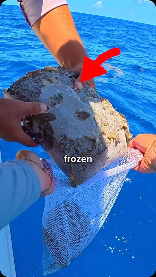 Today we fished a reef and used chum to trick smart fish 🐟🎣