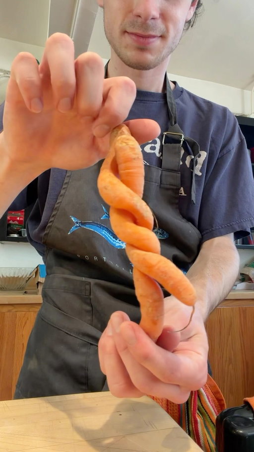 rooting for these 🥕⁣
⁣
#InTheMoment⁣
⁣
Video by @azlanvalentine⁣