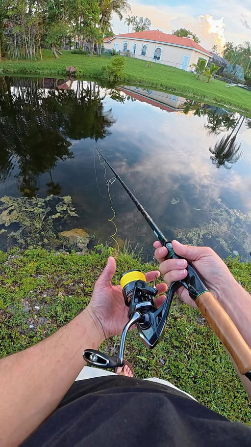 FISHING SOUTH FLORIDA CANALS FOR GIANT FISH⁉️

•
•

@dcfishingsupplies ZeusX handled the peacock & boat flip with ease, now we gotta put a REAL fish on it🔥

@fishbrainapp 

•
•

#fishing #florida #floridafishing #peacockbass #tarpon