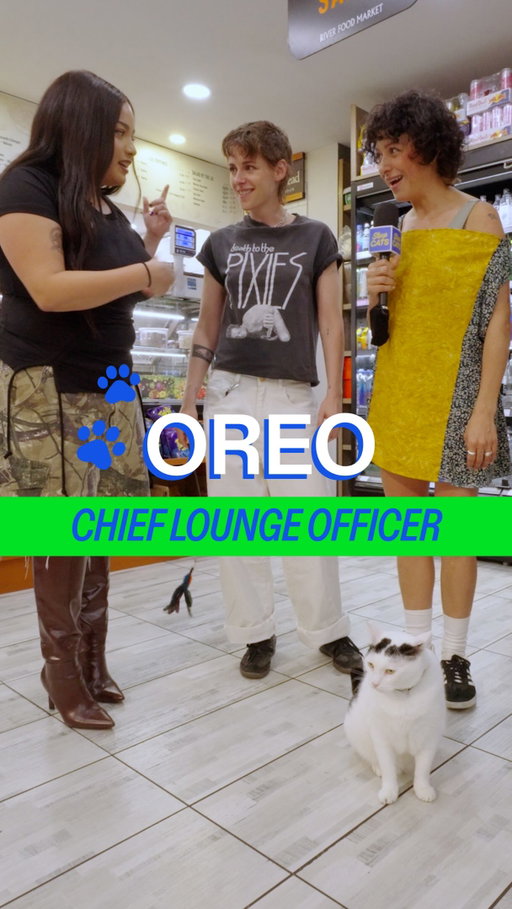 Meet Oreo in Chelsea ft. Shop regulars #KristenStewart x #AliaShawkat  @thewronggirlsmovie in theaters now!!!