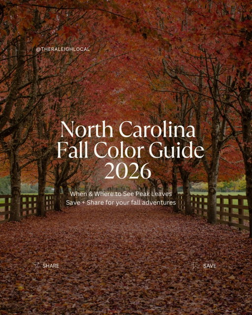 Comment Fall for the NC fall color guide! 

Pretty soon North Carolina will show off its colors and it is truly something to behold! Here is a quick glimpse of when + where to catch the best fall colors in North Carolina!