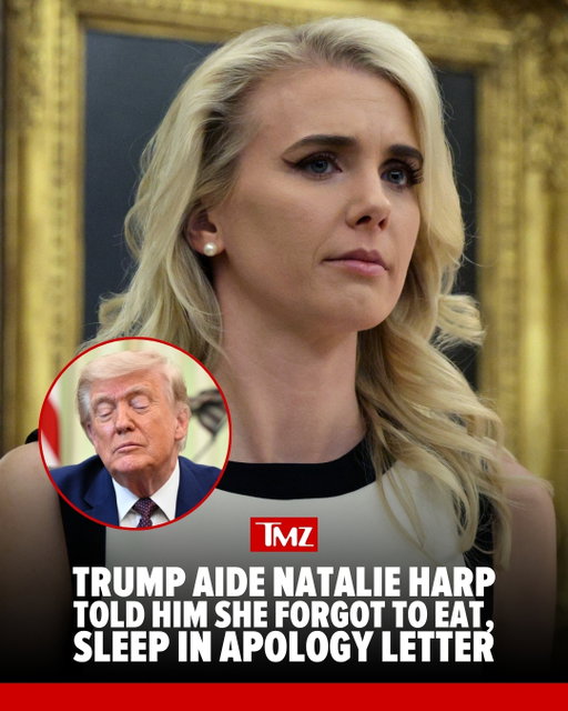 😬 Natalie Harp apparently takes keeping up with President Trump very seriously ... so seriously, it seems, his ever-present aide sprints across his golf courses just to keep pace with him ... and she's been so distracted, she's forgetting basic biological necessities.