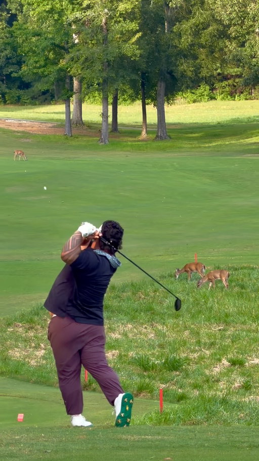 That was a close one, but I can assure you no animals were harmed in the making of this video🦌
•
#malosigolf #golf #reels #goodgood