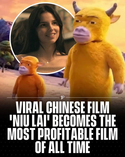 Chinese animated film Niu Lai has gone from an almost forgotten theatrical release to one of China’s strangest viral box-office stories of 2026.

Created by a mother-and-son team over several years with extremely limited resources, the film initially sold only a tiny number of tickets. Its unusual animation later exploded across Chinese social media, sending curious audiences to theaters and pushing its box office above $4 million. 

The film has since climbed among China’s top animated releases of the year, turning what looked like a box-office flop into an unlikely viral phenomenon. Claims that it is definitively the “most profitable film of all time” are harder to verify because reports differ on its exact production budget. 

(📸: Niu Lai / Focus Features / Universal / XHS)

#viral #pubity