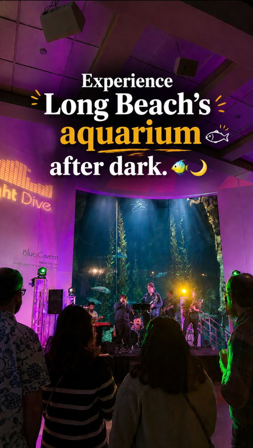 Who says the aquarium is just for kids? Once a month, the Aquarium of the Pacific transforms into an adults-only Night Dive for guests 18+. Explore the aquarium after dark, enjoy live music, grab tacos and drinks on the outdoor patio, and check out fun activities throughout the evening. It’s such a fun idea for date night or a night out with friends. 🪼

#thingstodoinlosangeles #losangeles #datenight #dateideas #ᴇxᴘʟᴏʀᴇᴘᴀɢᴇ