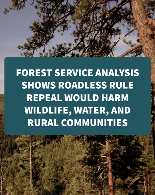 Idk… seems like a bad idea 🤔 🤷‍♀️ 

✏️ All of these findings are in the @u.s.forestservice draft environmental impact statement for the proposed rule. 

📖 For a link to the DEIS and page numbers, please see the press release on @western.priorities website titled “USFS’s own analysis shows Roadless Rule repeal would harm wildlife, water, and rural communities” 

#roadlessrule #publiclands #nationalforests