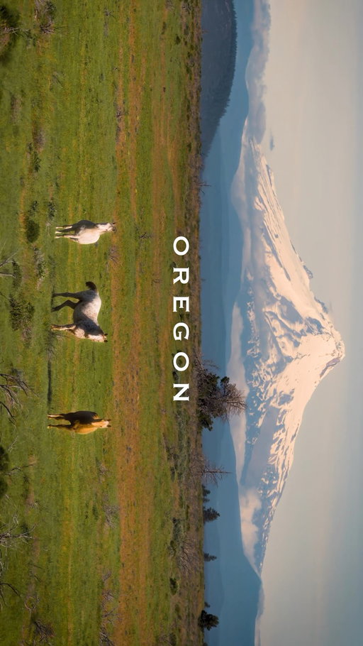Oregon is a magical place 🌲 

Shot on @djiglobal Mini 5 Pro 

#djimini5pro #travellightcapturemore #travel #nature