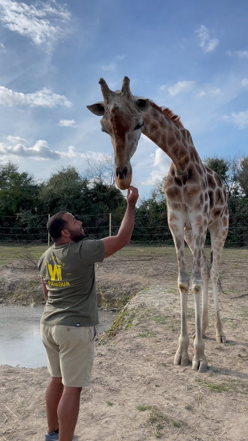 Throwback Thursday to hanging out with my giraffe friend 

#Throwback