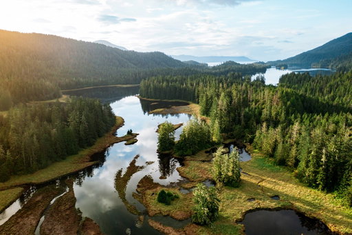 Nearly one-third of our national forest system is now at risk. We have until September 21 to act.

Two days ago, the US Forest Service advanced plans to repeal the Roadless Rule, a conservation policy that protects 44.7 million acres of old-growth forests, canyons, wetlands and other undeveloped lands. The repeal allows roadbuilding through some of our last intact forests ... and for what? So private industries can log, drill and mine.

Our nation’s forests provide access to clean drinking water, safeguard biodiversity and make our communities more resilient to climate change. When properly stewarded, forests protect us. 

Please join us in telling the USFS to stop the repeal of the Roadless Rule via the link in bio. Deadline: 9/21.

Photos: Colin Arisman (first and second), David Herasimtschuk, Steven Gnam, Rachel Ross