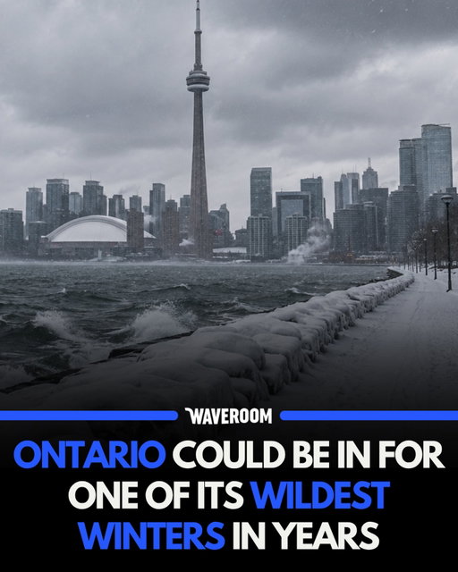 Follow @waveroom.toronto for more Toronto content! 

Ontario could be in for a wild winter this year 🥶❄️

According to the Old Farmer’s Almanac, the province could experience an unpredictable mix of snowstorms, freezing rain, ice storms and sudden blasts of Arctic air throughout the season.

Toronto, Hamilton, London, Windsor and Ottawa could see temperatures hovering around the freezing mark, leading to messy combinations of snow, sleet, rain and ice. Communities around the Great Lakes could also face periods of heavy lake-effect snow. 🌨️

DM us your videos/photos to be featured on the page!