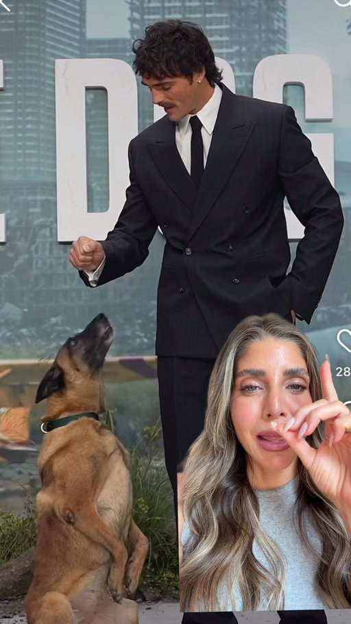 Now Jacob, you knew what you were doing here 🙃🙃🙃 Hottest thing on the internet that we can remember… Thoughts?

#jacobelordi #thedogstars