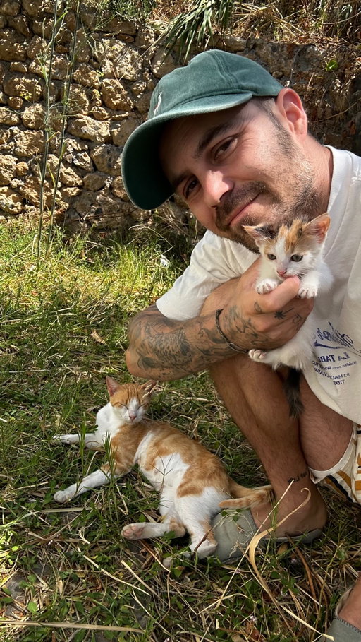 🐈Sauver un bébé chat Partie 1
J’ai passé 10 jours en Crète et une maman chat a donné naissance à un bébé handicapé. Ses deux pattes arrières ne fonctionnent pas. Le bébé ne souffre pas mais sera incapable de chasser lorsque sa mère le laissera d’ici quelques semaines. 
Alors il fallait lui trouver une famille ou un refuge avant que je reparte. 
Une mission compliquée mais qui était indispensable pour moi. 
Cependant rien n’a été simple. 

Ces vidéos ont pour but de montrer à tous ceux et celles qui ressentent l’envie d’aider un animal que vous pouvez le faire, peu importe vos moyens ou capacité, chacun a une sensibilité et il faut l’utiliser. 

Je pense aussi qu’utiliser ses réseaux pour partager le bien est aussi indispensable. 

Parfois les choses ne sont pas simples, parfois vous serez impuissant face à une situation, mais on se doit d’essayer. 
Savoir que je laisse ce bébé chat mourrir ici sans rien avoir essayé m’est impossible. 

Chaque personne réagit à sa façon et je ne souhaite donner aucun conseil, simplement faite ce que bon vous semble. 

Ces vidéos vont vous montrer que les situations peuvent changer chaque jour et qu’on doit faire fasse à plusieurs contraintes auxquelles je ne m’attendais pas forcément. 

À l’instant où j’écris ces phrases rien n’est encore joué, mais j’ai un grand espoir et je veux vous le partager. 

PS: n’hésitez jamais à partager quelques chose de positif, car l’idée principale en partegeant ces moments, c’est de motiver ceux qui hésitent à se dire qu’il est toujours possible d’apporter sa pierre à l’édifice. On ne sauvera pas le monde c’est une certitude, mais chaque geste a un impact alors essayons qu’il soit positif 🙌🏻

#crete #katisshelter #saveacat
