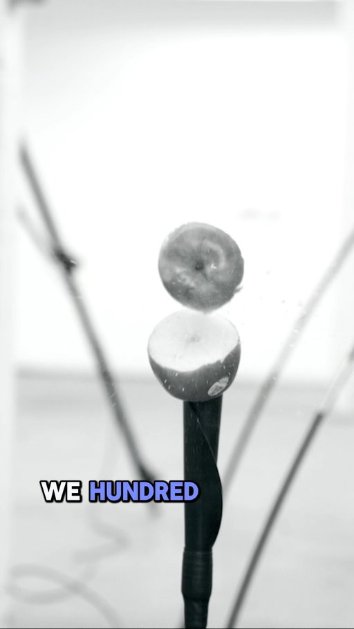 Whips versus baseball versus an apple in the strangest William Tell impression you’ve ever seen with @trevmay65 

#baseball #circus #williamtell #trevormay #jacqueszewhipper