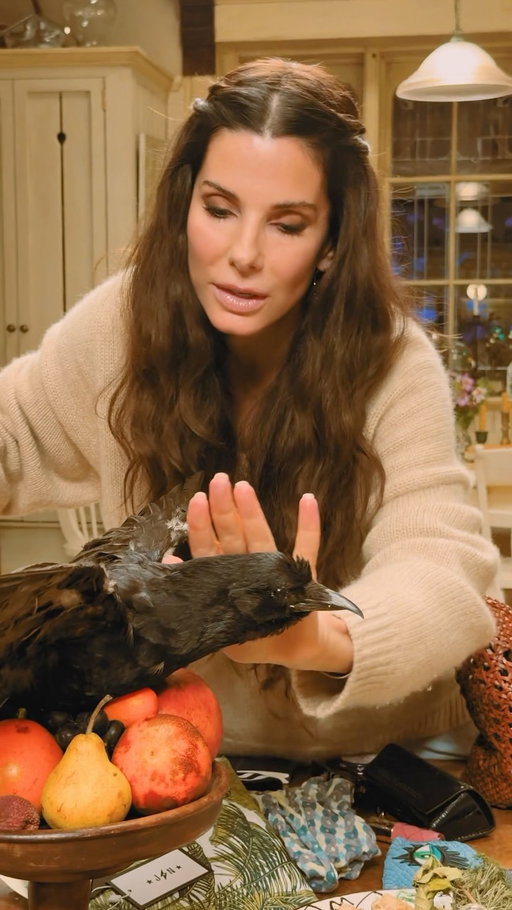 The “what’s in my bag” no one asked for…the crows love @lolavie and my hair does too 🐦‍⬛🖤