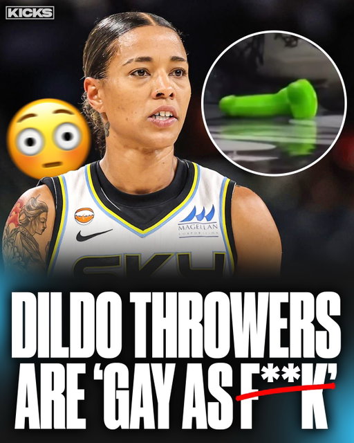 Natasha Cloud sounded off on the WNBA dildo throwers 😳