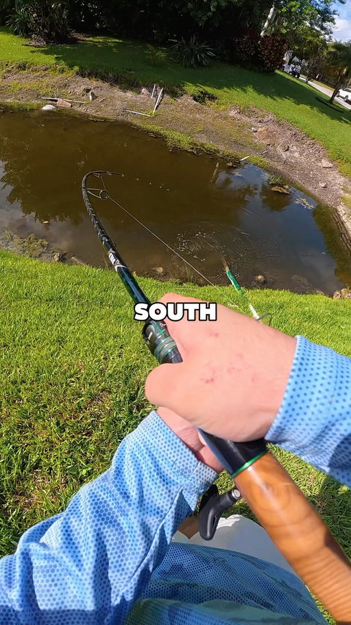FISHING SOUTH FLORIDA CANALS FOR PEACOCK BASS⁉️

•
•

Yall saw that boat flip on the @dcfishingsupplies ZeusX rod??

@fishbrainapp @yorkcasting_co 

•
•

#fishing #peacockbass #florida #floridafishing #fishbrain