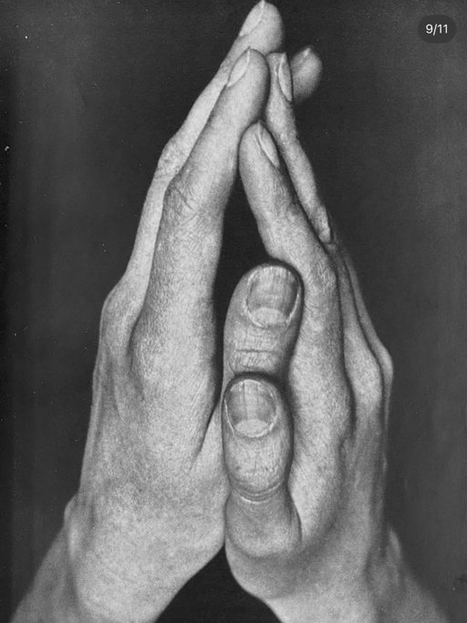 Albert Renger-Patzsch (1897–1966): A central figure in the German ‘New Objectivity’ movement, Renger-Patzsch focused on the intrinsic beauty of material objects, nature, and industrial design. His seminal work, the 1928 book, “Die Welt ist schön” (The World is Beautiful), features 100 iconic images of juxtaposing ideals; from natural organisms, to industrial products and architecture…