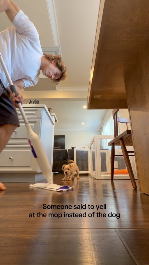 *no mops were harmed in the making of this video* #dogs #funny