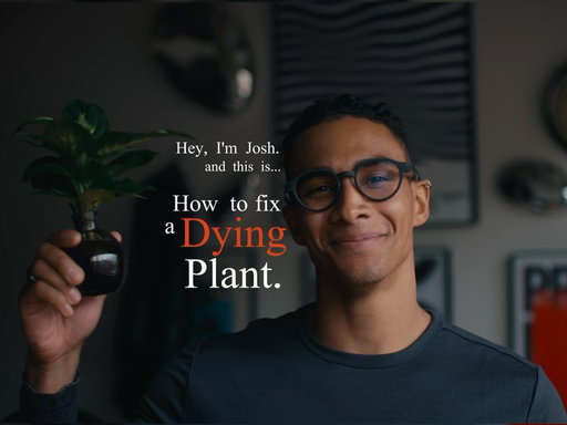 I don’t think I’m talking about plants anymore 💭💭

#lifeadvice #cinematic #filmmaker #motivationalquotes