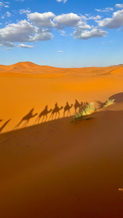 All I know is I want to experience everything…

#travel #adventure #relatable #experience #morocco