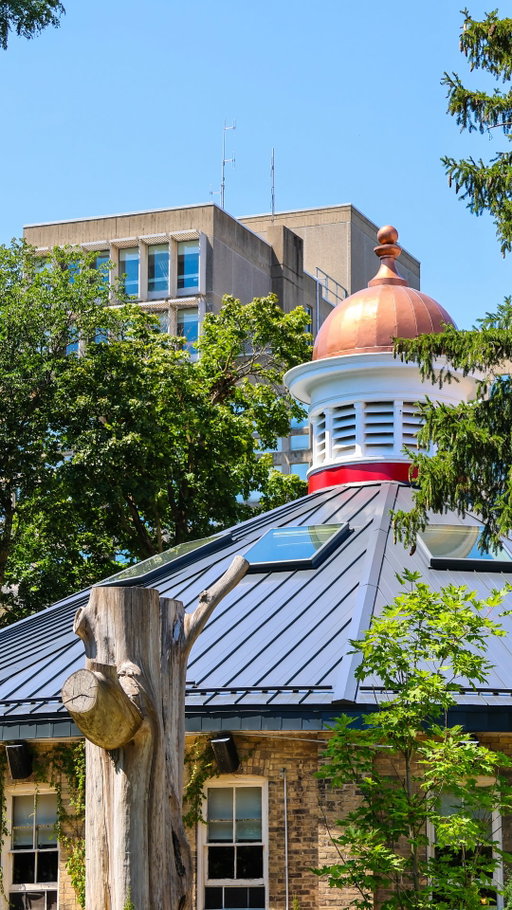 Loading… a brand new semester at #UofG. 🕷️❤️💛