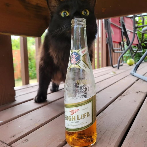 When psspsspss doesn’t quite do the job 

📸: @dogdadhighlife