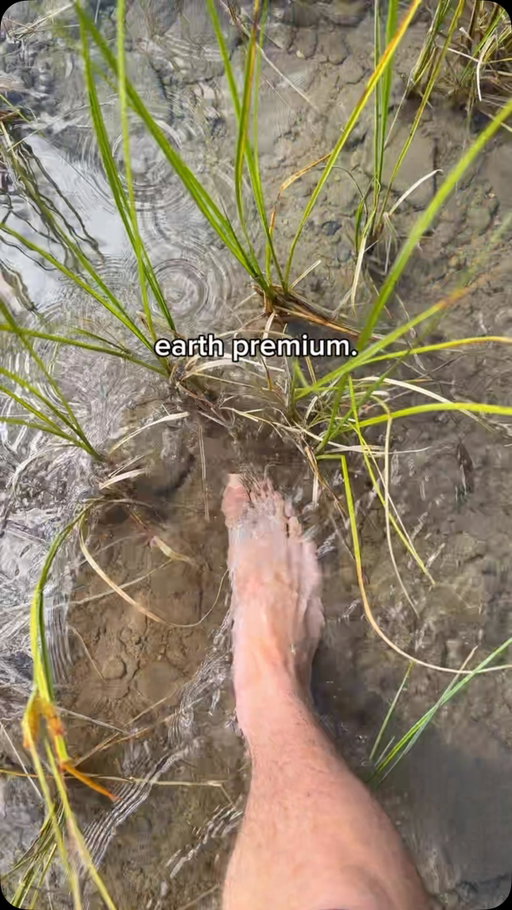 only version i want 

#nature #hiking #foryoupage #outdoors #mountains