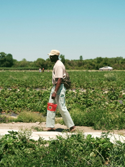The Gardner Gang tradition of Strawberry picking continued this year. Our kids love to pick fresh strawberries and bring them home to enjoy to their hearts desire. They end up in their pancakes as well. 

There’s nothing like creating memories while enjoying the fruits of your labor. 

I love this for us 🫶🏿

📸 @thecreativegentleman 

#strawberrypicking #strawberryicecream #strawberryfarm #familyfundays #dcphotographer