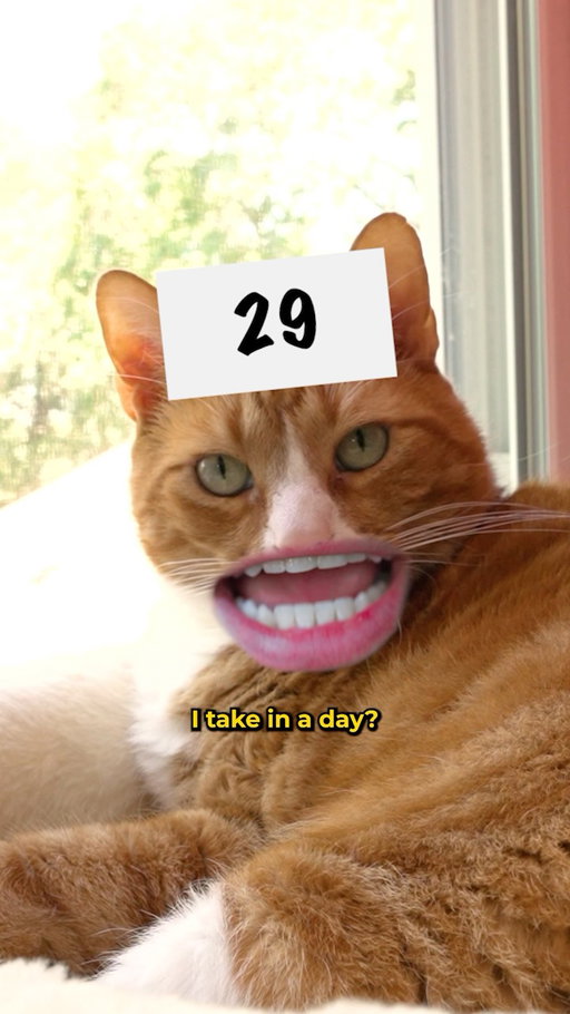 #FreshStepPartner safe to say my cat is just a lil’ dramatic (except when it comes to using Fresh Step Heavy Duty, his favorite litter) 

#catdad #cats_of_instagram #trending #guessthenumber