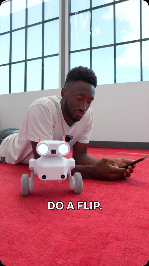 Do a flip