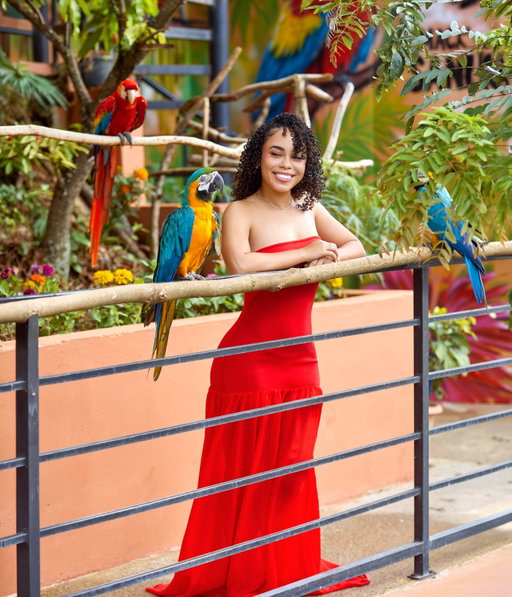 What a transformative year it has been. ❤️

Every choice, every challenge, every unexpected turn has shaped me into the woman I am today and I’m so deeply grateful for the journey. I wouldn’t change a thing. This year, I simply pray for wisdom, alignment, and the boldness to follow where God leads. 🌷

24 is going to be intentional. Purposeful. Full of growth, joy, and moments that take my breath away.

Thank you for watching, supporting, and cheering me on as I continue to evolve. Your love means more than you know. 

God here is my surrendered heart. ❤️ 

Such a beautiful initiative and sanctuary @feathered_friendstt 🦜🍃🌷

📸 : @udn_media thank you for always going the extra mile and bringing my visions to life.