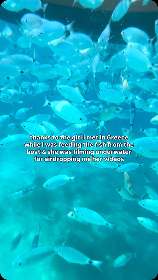 teamwork 🤝🐠

#corfu #greece #underwaterlife