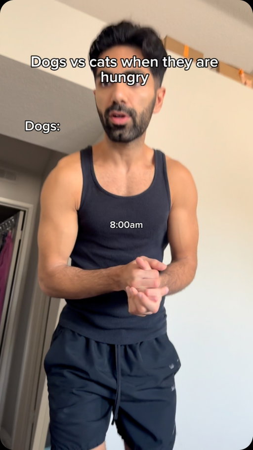 Dogs vs cats when they are hungry