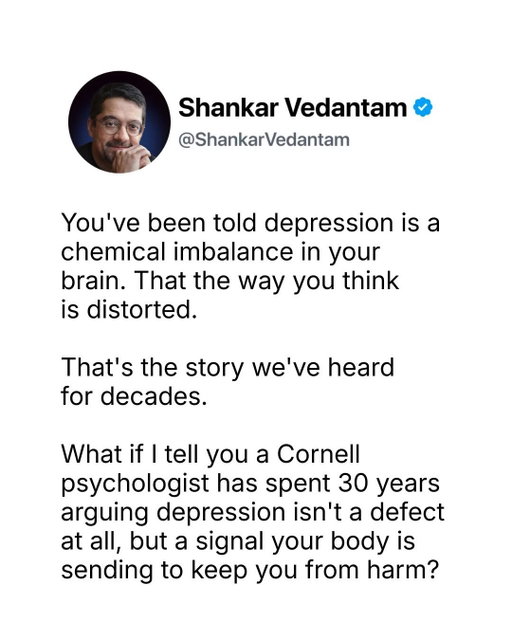 What if depression isn't a malfunction, but a signal your body is sending on purpose?

Most of us have been told it's a chemical imbalance, a sign our thinking has gone wrong. Jonathan Rottenberg, a psychologist at Cornell, has spent 30 years building the case for something different.

Rottenberg nearly lost his own life to depression: four years of pain, failed medications, a month in the hospital. Trying to understand what he couldn't escape, he came to see low mood as a signal, not a defect. Its question is simple: keep going, or stop? We already accept this logic for grief. It slows the body down and shrinks the world after a loss, and we call that natural, not broken.

Depression doesn't always mean something in you is broken. Sometimes your body is trying to redirect you, the way it redirected Rottenberg away from a career as a historian and into the work he was built for.