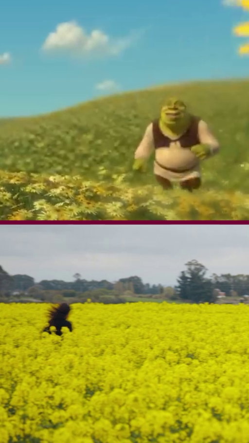 Same energy, but one didn't get their fairy tale ending 🌻🛡️

#TheTraitorsAU | Stream Now on @Channel10AU