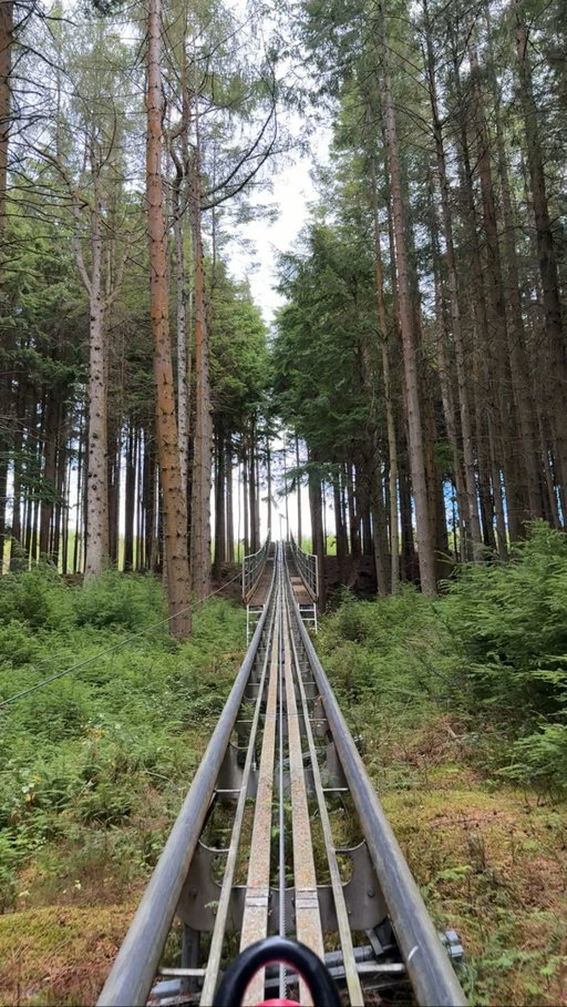 One of the best experiences I’ve ever had in the UK! 🤯🎢 Riding the Fforest Coaster through the middle of a Welsh forest was such an incredible experience- I’d do it again in a heartbeat! 🌲 #uktravel #uktravelblogger #funthingstodo #thingstodo