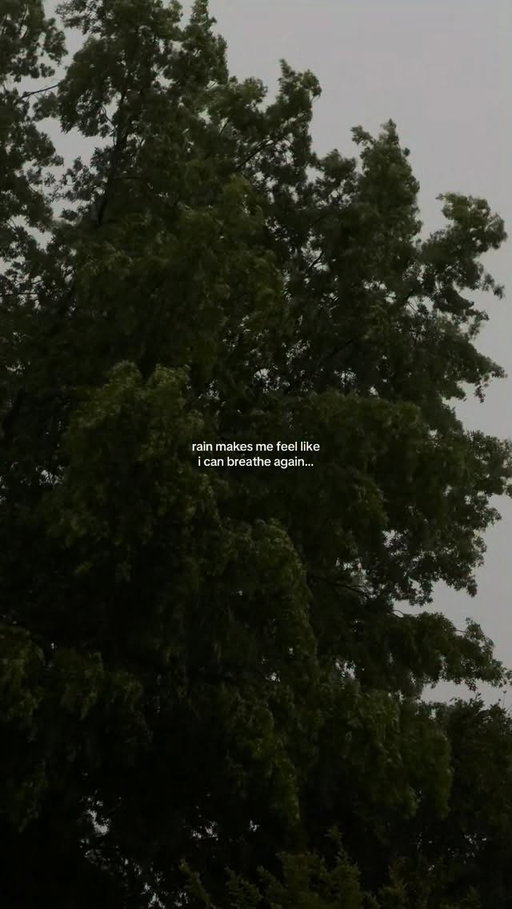 it’s like a long exhale 🌬️🍃🌧️

#rainydays#rainyweather#storms#cozyvibes#calming