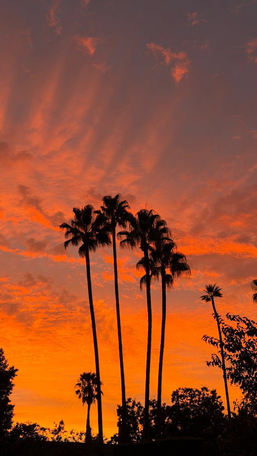 My favorite color is sunset ✨🧡🌅🥹 @visitsacramento
