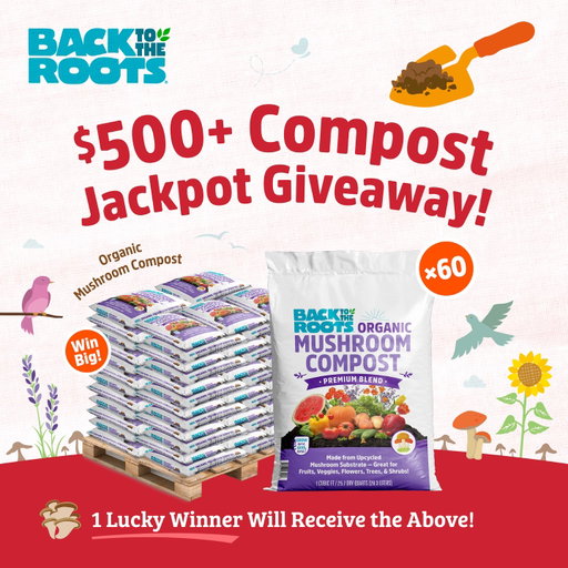 💥🍄$500 Compost Jackpot Giveaway! 🍄💥

Go big or grow home, we’re giving away sixty - yes, sixty! - bags of our 100% organic, mushroom compost and delivering it straight to your door. 

Working to improve soil aeration, boost moisture and slowly release nutrients into your garden, enter below and get your camera ready to capture the epic moment when it arrives!

1 x Organic Mushroom Compost Pallet - 60 1 cu. ft bags.

To enter: 

1. Follow @backtotheroots_official.
2. Comment 'WINNER'
3. Tag a friend you want to grow with. 

No purchase necessary. Contest ends 11:59 PM CT on 9/11/26. Open to US shipping addresses only. The winner will be notified via DM after contest end date. Void where prohibited. This contest is in no way sponsored, endorsed, administered by or associated with Instagram.

#gardeninggiveaway #gardengiveaway #nationalmushroommonth