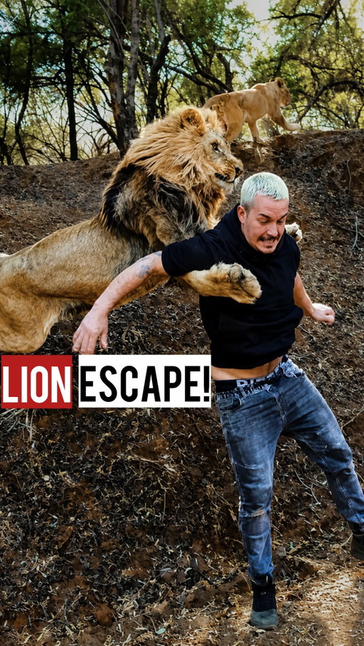 A Lion🦁 is chasing YOU! What‘s YOUR MOVE to survive❓Comment below👇🏼 and Tag someone who has an idea of how to get out of this! 😅
•
#deanschneider #hakunamipaka #wildanimals