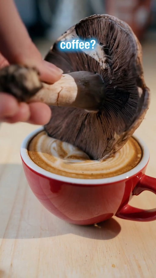 🍄☕️Have you tried mushrooms in coffee? 

Side note: This stuff made latte art so fun 
@freshcapmushrooms
.
If you're interested in trying here is a 20 percent off code 
SAVE20EMILEE
And there is a link on my linktree to the coffee