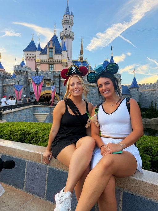 Next lifetime I’m going the Imagineer route ✨