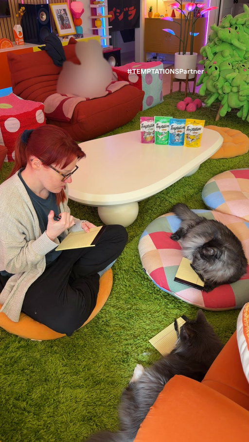 #TEMPTATIONSPartner Sometimes a creative block requires a creative solution, cats! And when your cats aren’t playing along, leave it up to @temptationscats Treats to come to the rescue! Our cats love the Classic Crunchy Treats and we can always rely on them to save the day!