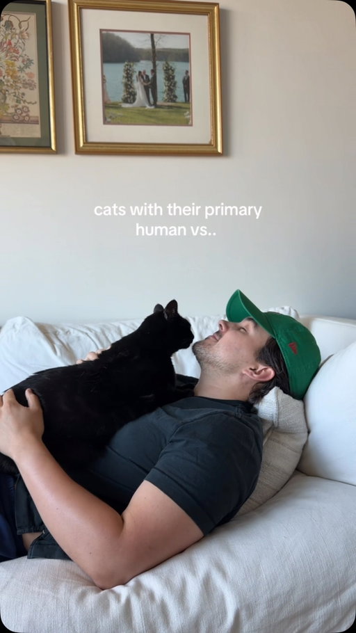 worse than heartbreak fr

#catdad #catparents #catsofinstagram #catlover