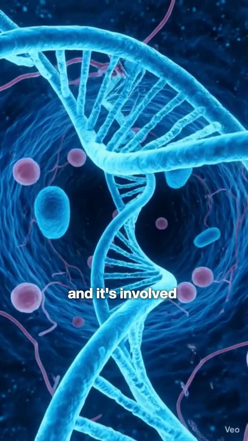 Thinking about taking NAD during cancer treatment?

The longevity hype is ahead of the cancer research. This is one supplement I wouldn’t approach casually.

#NAD #CancerSupplements #CancerTreatment #Oncology #CancerCare