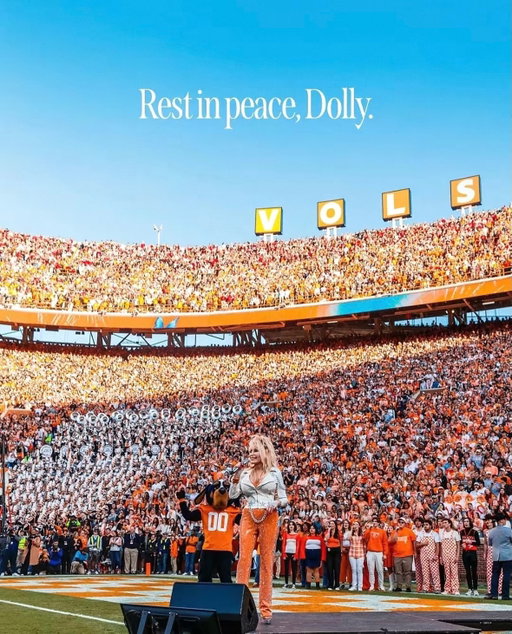 We miss you Dolly 🧡